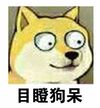 QQ图片201607181655435234302.jpg