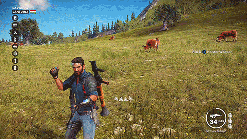 13.gif